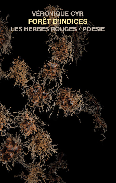 Cyr_Forêt_d'indices_72dpi