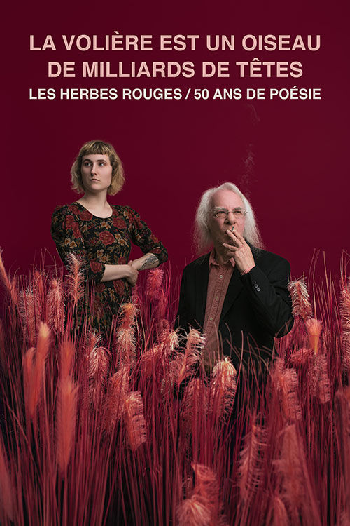 voliere_photocomplete