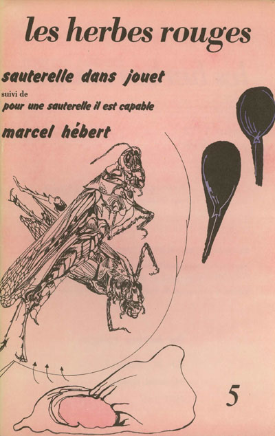 HR#5_Hebert_Sauterelle_dans_jouet_2_72dpi